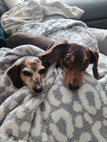 Ginger and Gerrard today